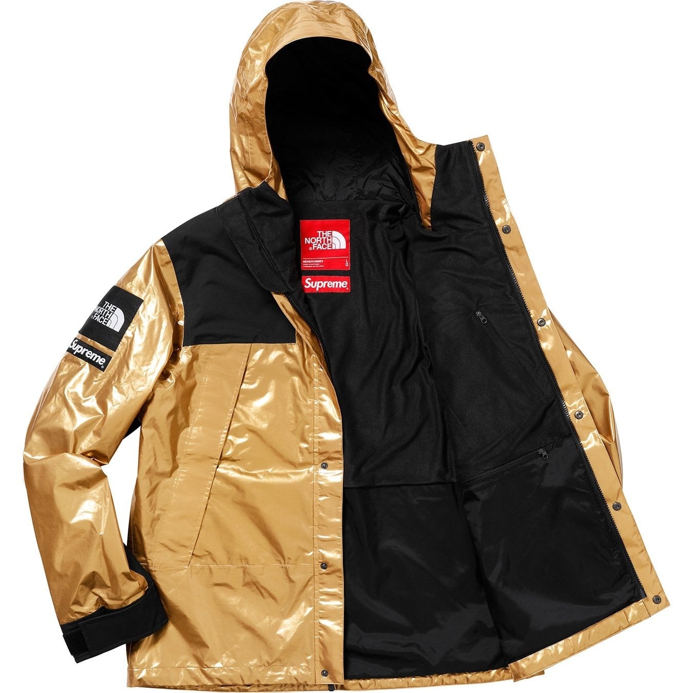 Supreme®/The North Face® Metallic Mountain Parka view 10